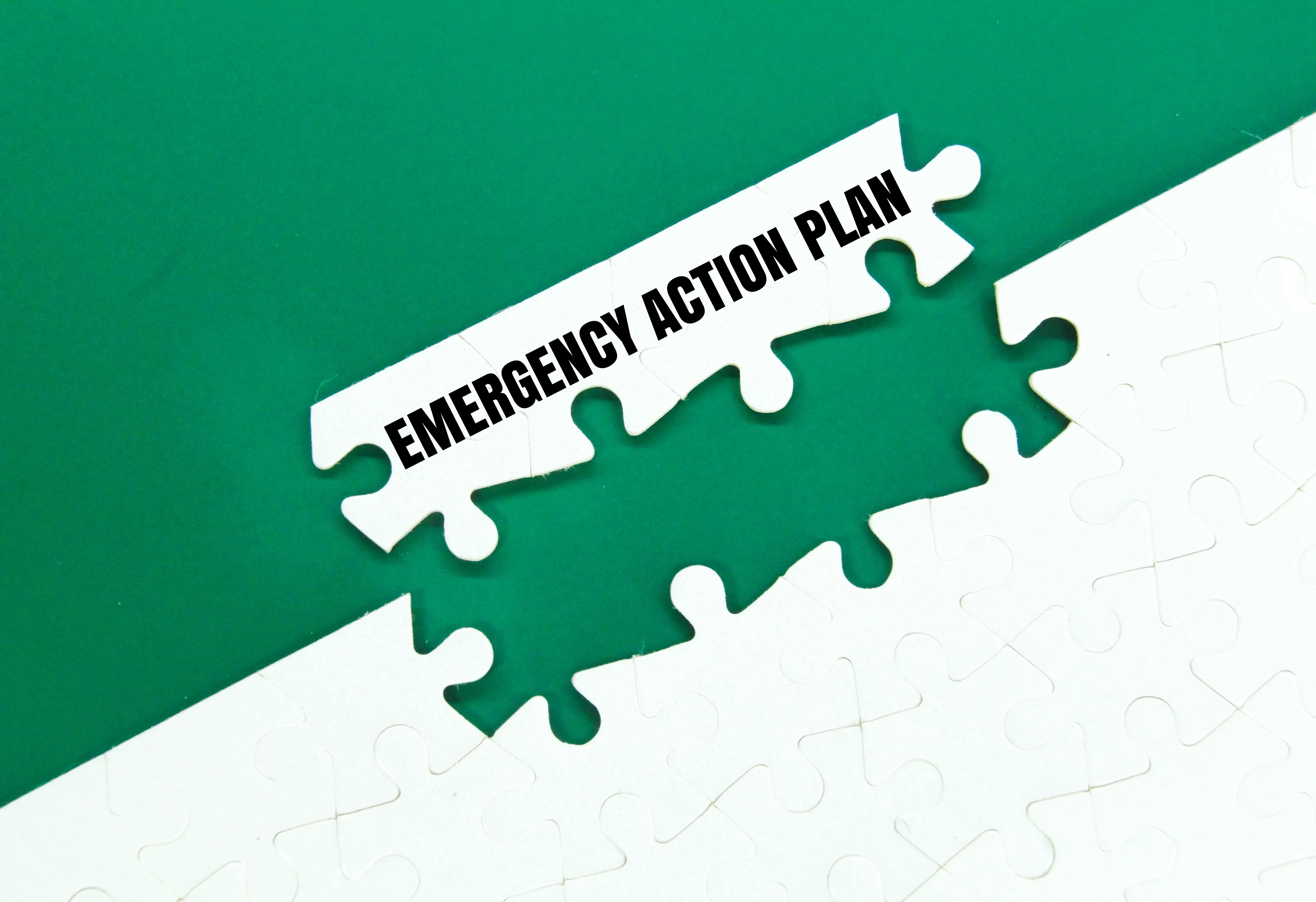 Emergency Action plan puzzel